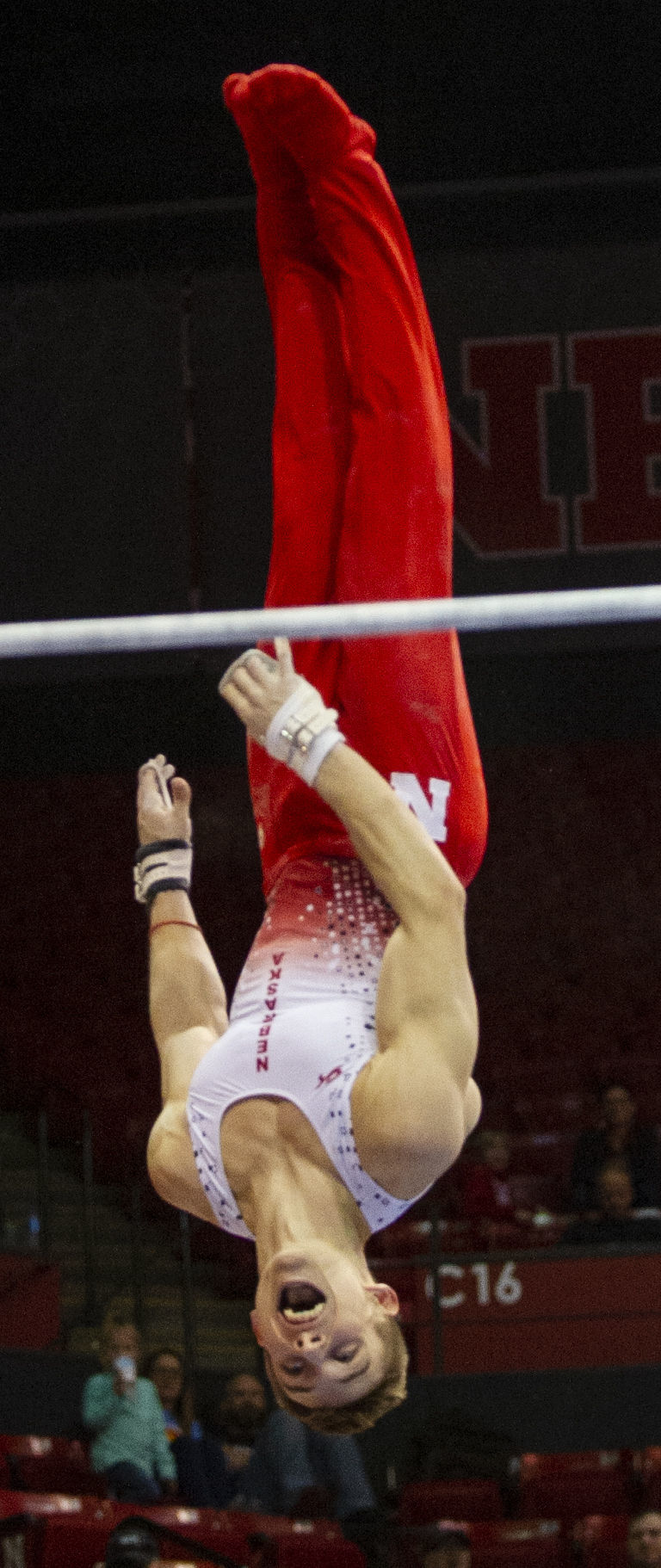 NU men's gymnastics vs. Illinois, Oklahoma, 2.2